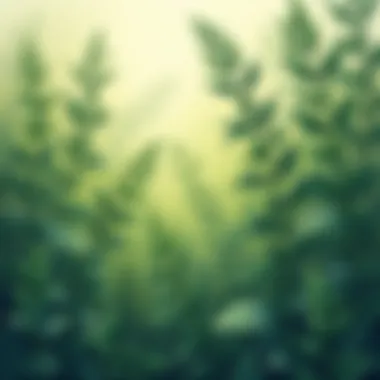 A close-up of different vine types showcasing their unique foliage