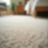 Close-up of a clean bedroom carpet showcasing its texture